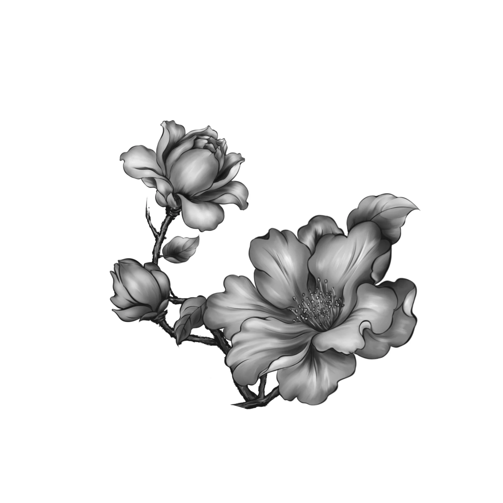 插画原件 · 03